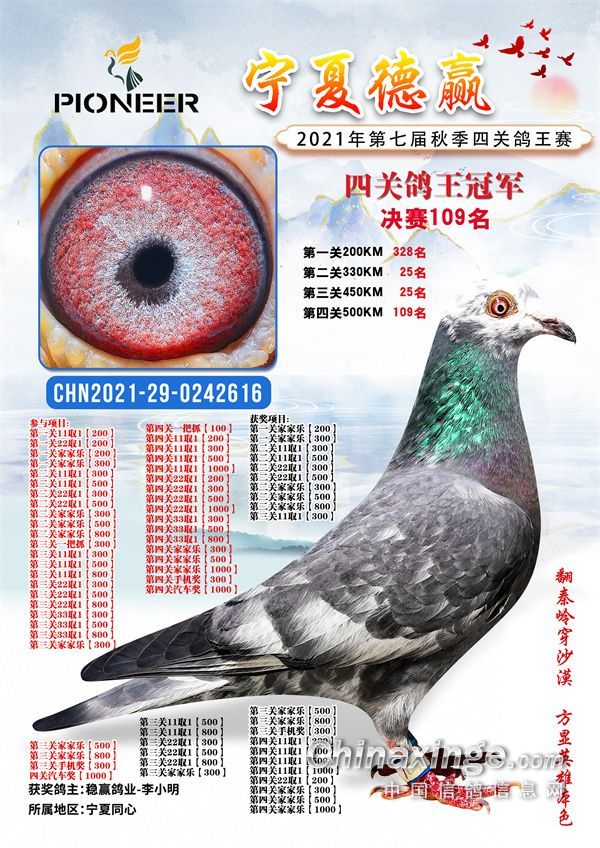 宁夏德赢公棚四关鸽王冠军